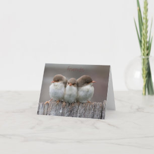 Friends Stick Together Note Cards