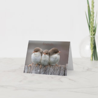 Friends Stick Together Note Cards