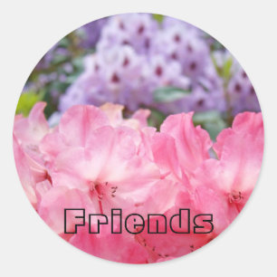 FRIENDS stickers Pink Rhodies Purple Rhododendrons