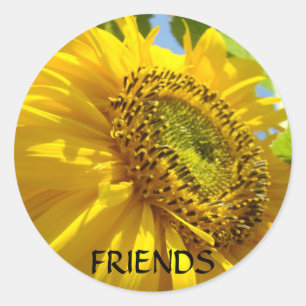 Friends SUNFLOWERS STICKERS STICKER SHEETS Gifts