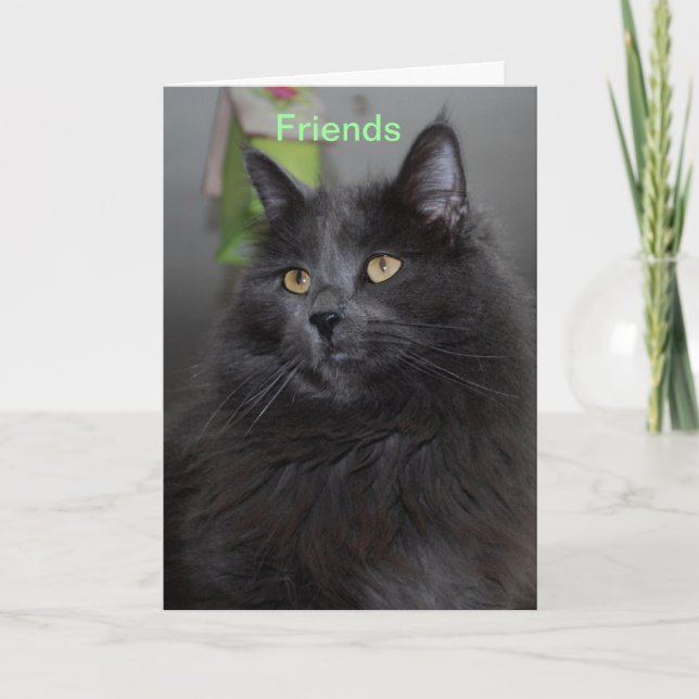 Friends Thank You Card (Front)