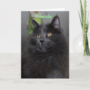 Friends Thank You Card
