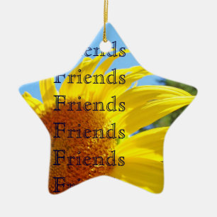 Friends Thank You Wonderful Friend Ornament gifts