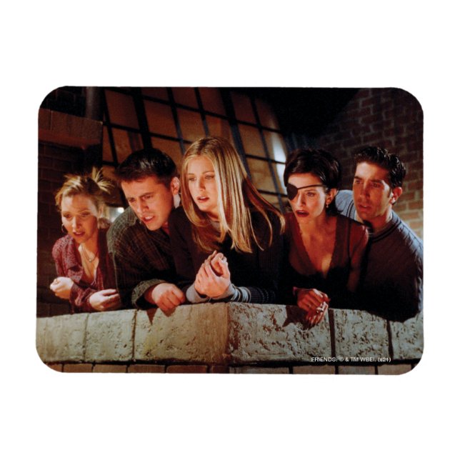 FRIENDS™ | The Gang on the Balcony Magnet (Horizontal)