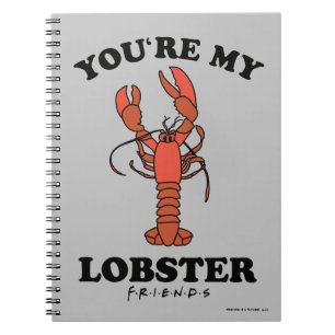 FRIENDS™ You're my Lobster Notebook