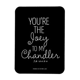 FRIENDS™ You're the Joey to my Chandler Magnet