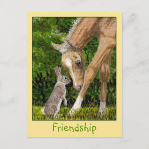 Friendship Bunny & Foal postcard