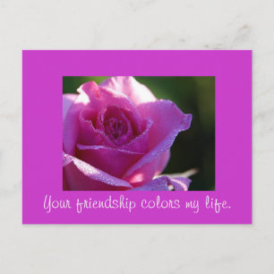Friendship Colours my Life Postcard