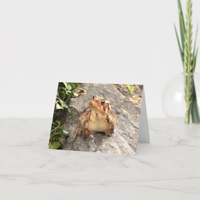 Friendship frog toad greeting card (Front)