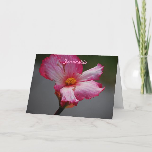 Friendship Holiday Card (Front)