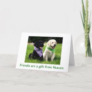 Friendship Labrador Retriever Puppies Card