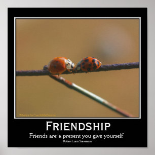 Friendship Ladybugs Inspirational Quote Poster