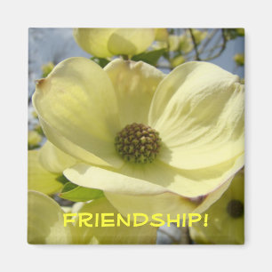 Friendship! magnet gifts Yellow Dogwood Flowers