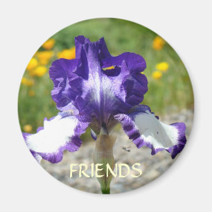 FRIENDSHIP MAGNETS Purple Irises Best Friend Gifts