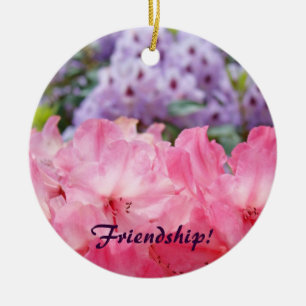 Friendship! ornament Pink Rhodies Holiday ornament