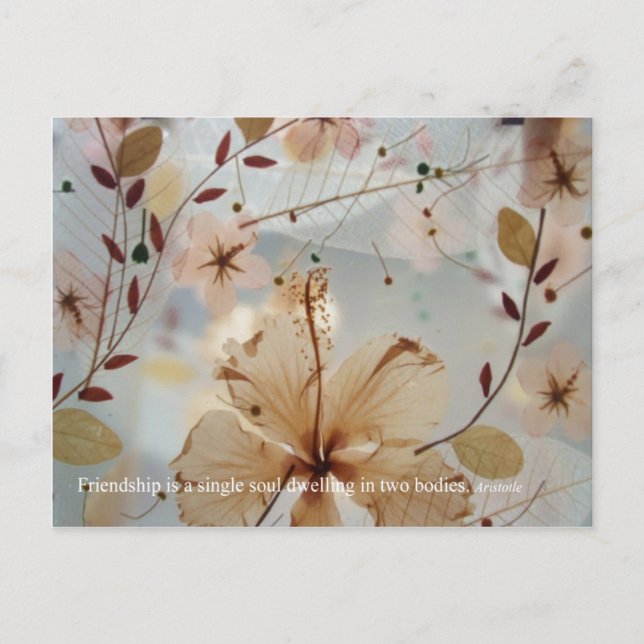 Friendship Petal Postcard (Front)