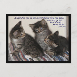 Friendship Postcard