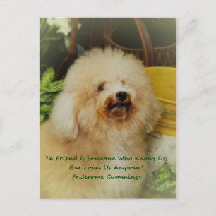 Friendship Postcard