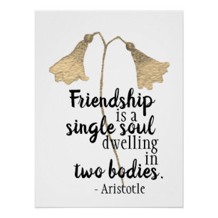 Friendship Quote Flowers Poster