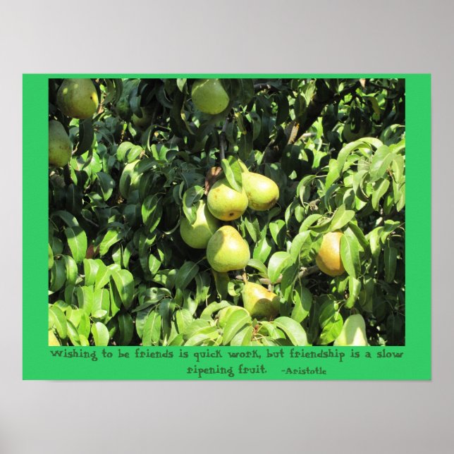 Friendship quote from Aristotle Poster (Front)