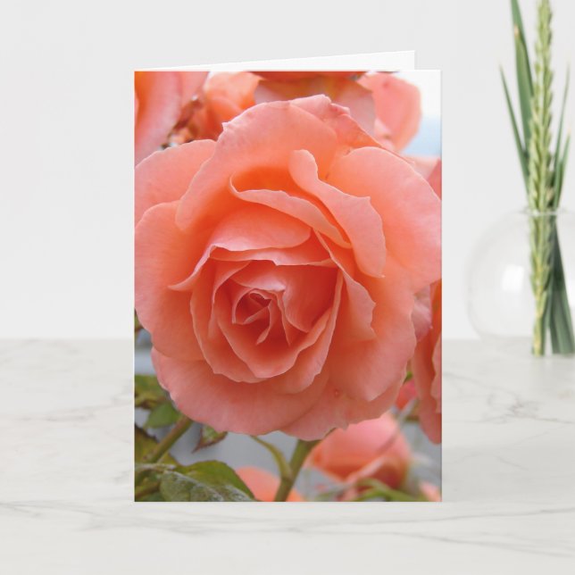 Friendship Rose Card (Front)