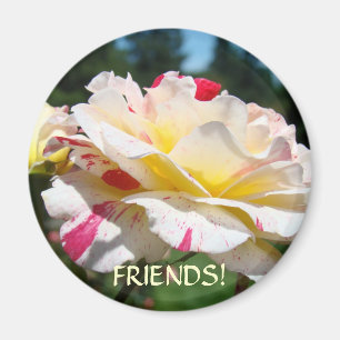 FRIENDSHIP ROSE MAGNET Roses Friends!