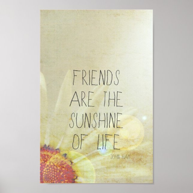 Friendship & Sunshine Poster (Front)