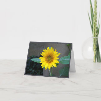 Friendship, thank you, sunflower card