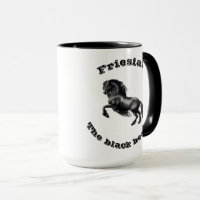 Friesian, black stallion horse, the black beauty