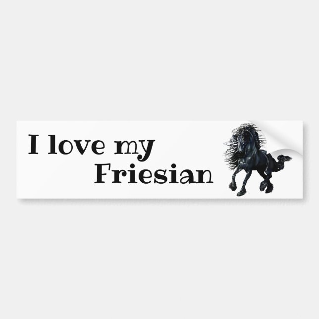 Friesian, black stallion, I love my Friesian Bumper Sticker (Front)