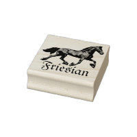 Friesian black stallion, the black beauty, horse r