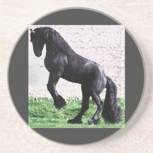 Friesian Coaster 8