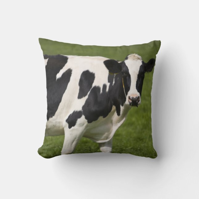 Friesian cow cushion (Front)
