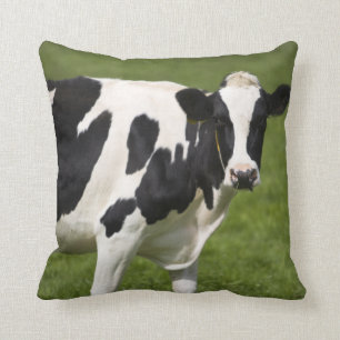 Friesian cow cushion