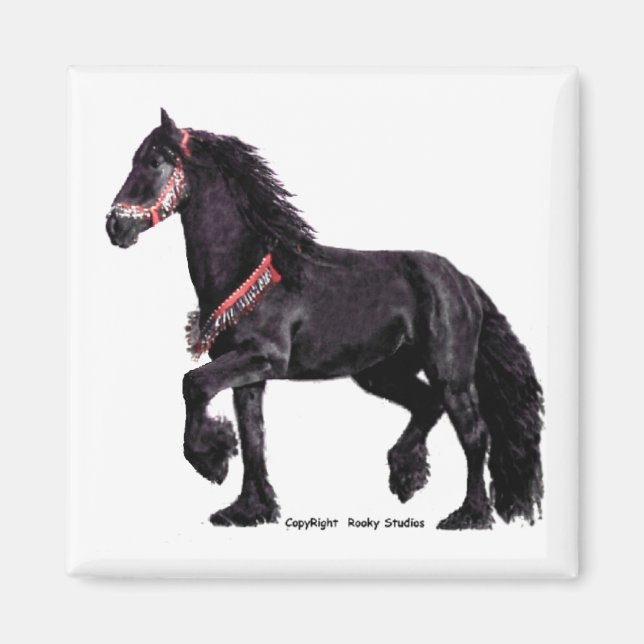 Friesian Dance Magnet 1 (Front)