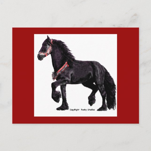 Friesian Dance Postcard #5 (Front)