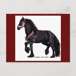 Friesian Dance Postcards