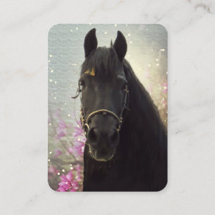 Friesian DIAMOND - Business Card