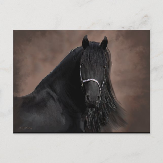 Friesian Flair Postcard (Front)