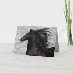 Friesian Flying Horse Greeting Card