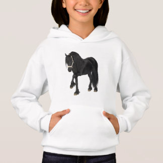 Friesian Horse 