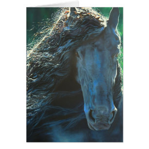 Friesian horse, black stallion