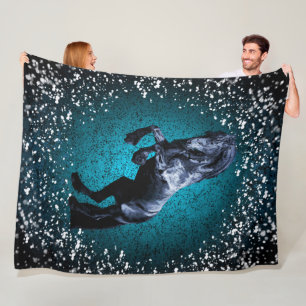 Friesian horse, black stallion, snow, blue fleece blanket