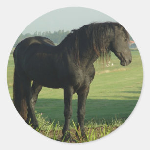 Friesian Horse Classic Round Sticker