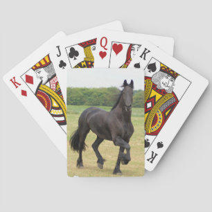 Friesian Horse Deck of Cards