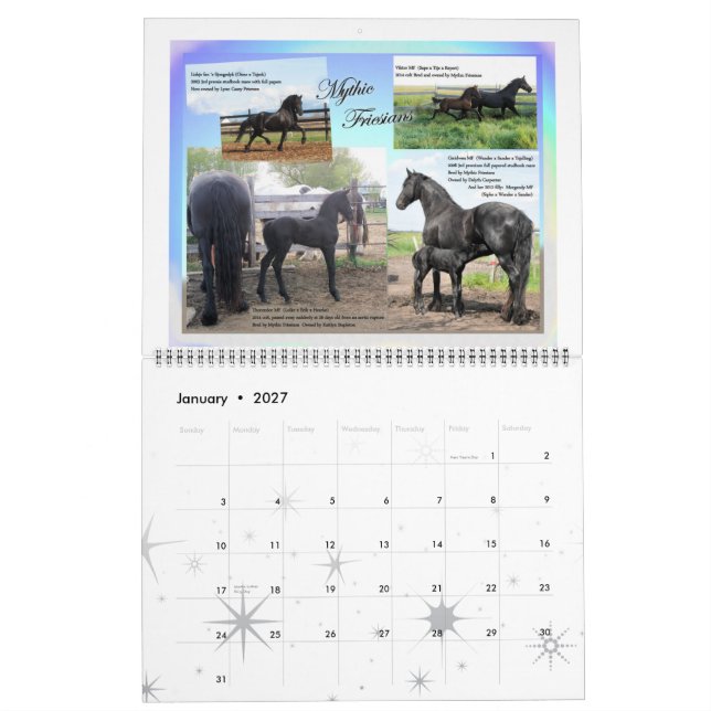 Friesian Horse Huge Photo Calendar (Jan 2027)