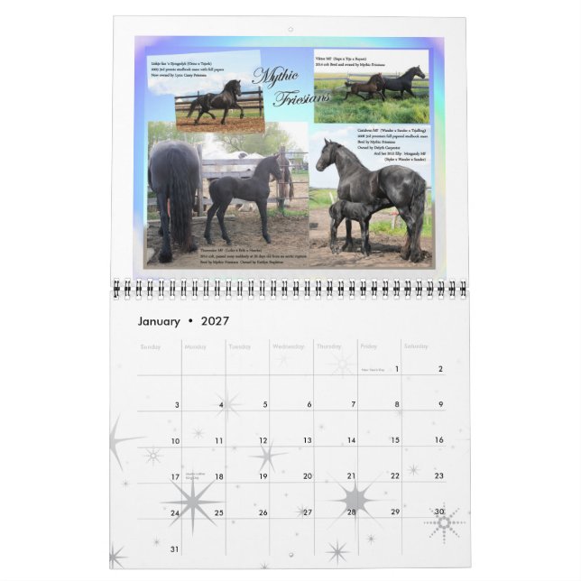 Friesian Horse Photo standard size Calendar (Jan 2027)