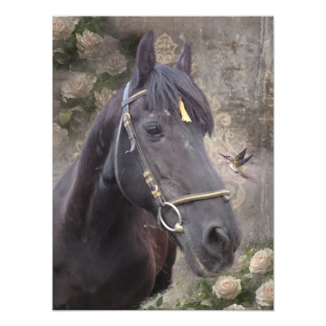 Friesian Horse Portrait - Poster (Front)