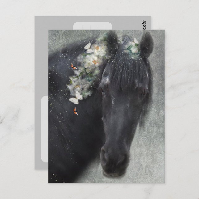 Friesian Horse - Postcard (Front/Back)