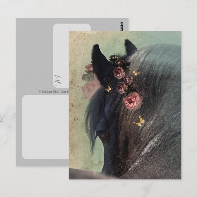Friesian Horse - Postcard (Front/Back)